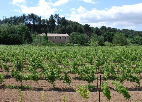 Domaine de Creva-Tinas Mailhac Exterior foto